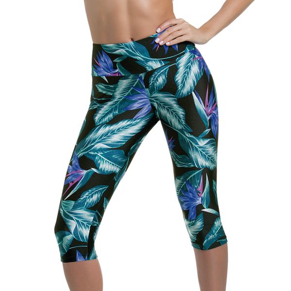legging-curta-botanica-524816-frente